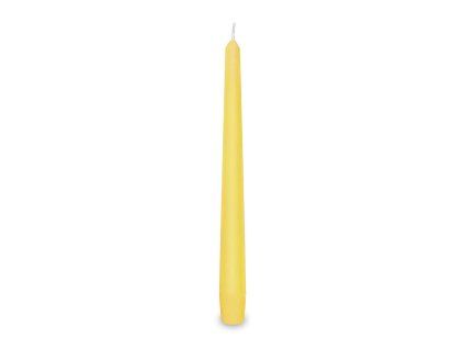 2031105 SVÍČKA KONICKÁ  24,5CM ŽLUTÁ
