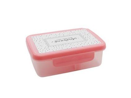ZDRAVÁ SVÁČA - BOX SCANDI RŮŽOVÝ  VZS18764