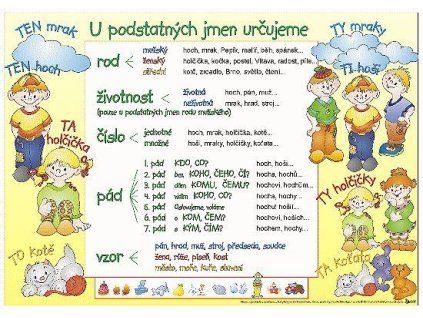 PODSTATNÁ JMÉNA / URČUJEME VYJÍMKY 64301