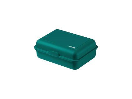 BOX NA SVAČINU MINTOVÝ  9-37822