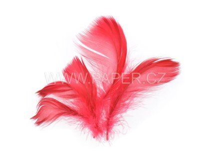 229008 PERI CERVENE 10G          LI#