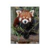 MAGNET 3D 22046 PANDA ČERVENÁ 553