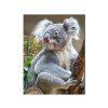 MAGNET 3D 22046 KOALA 555 X