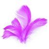 229011 PERI FIALOVE 10G    LI
