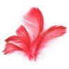 229008 PERI CERVENE 10G          LI#
