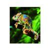 MAGNET 3D 22046 CHAMELEON 086